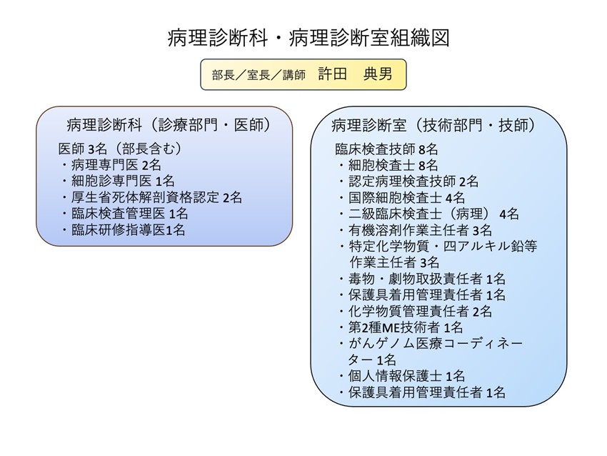 病理組織図2026